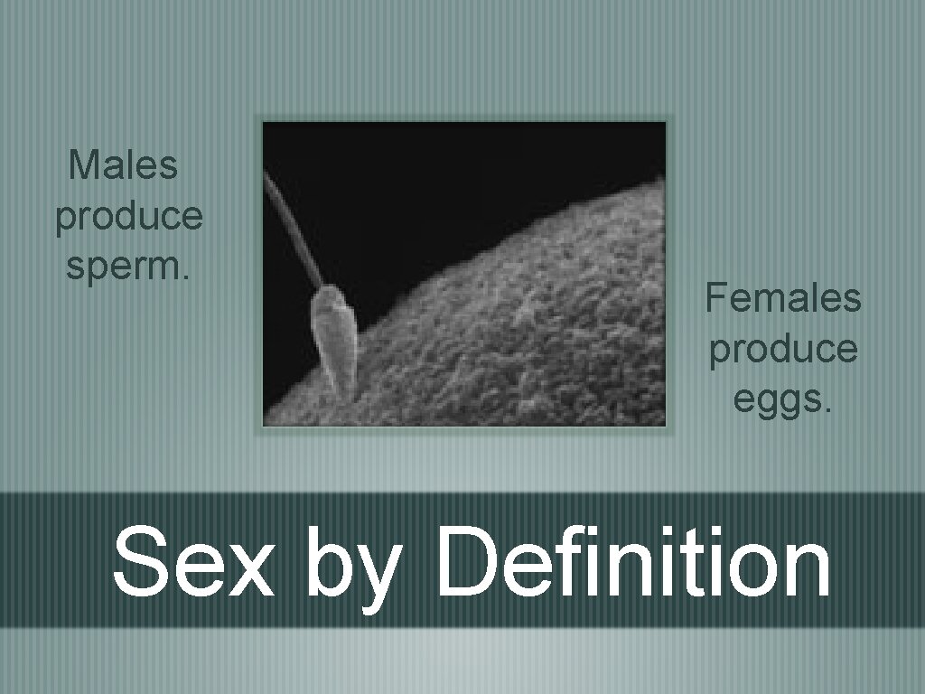 Males produce sperm. Females produce eggs. Sex by Definition 