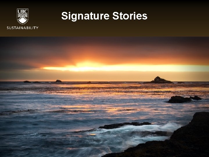 Signature Stories 