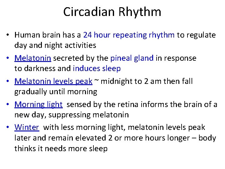 Circadian Rhythm • Human brain has a 24 hour repeating rhythm to regulate day