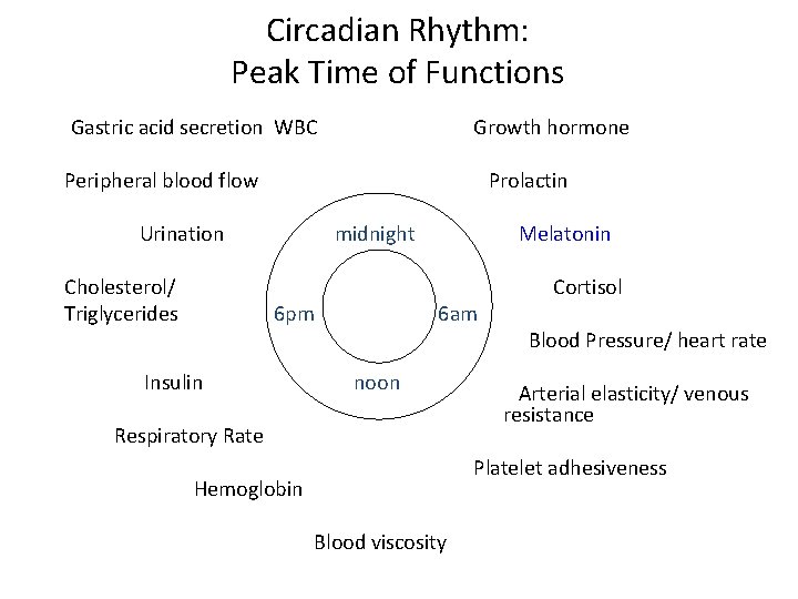 Circadian Rhythm: Peak Time of Functions Gastric acid secretion WBC Growth hormone Peripheral blood