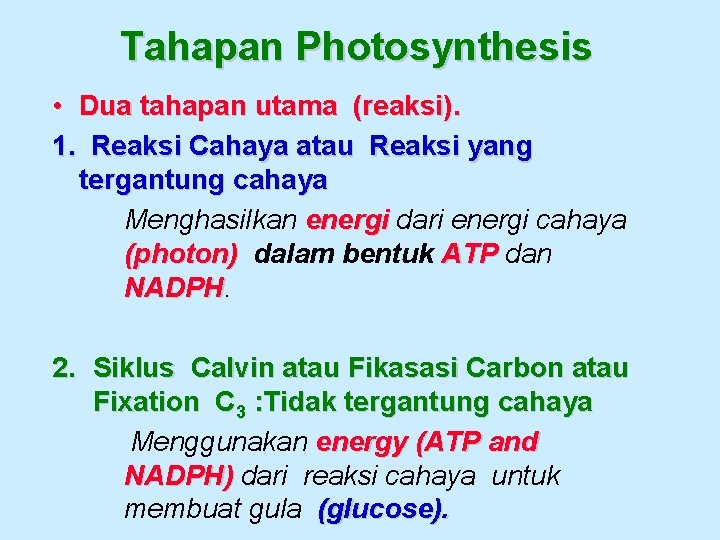 Tahapan Photosynthesis • Dua tahapan utama (reaksi). 1. Reaksi Cahaya atau Reaksi yang tergantung