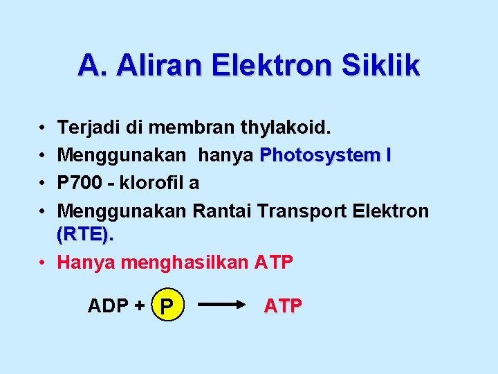 A. Aliran Elektron Siklik • • Terjadi di membran thylakoid. Menggunakan hanya Photosystem I