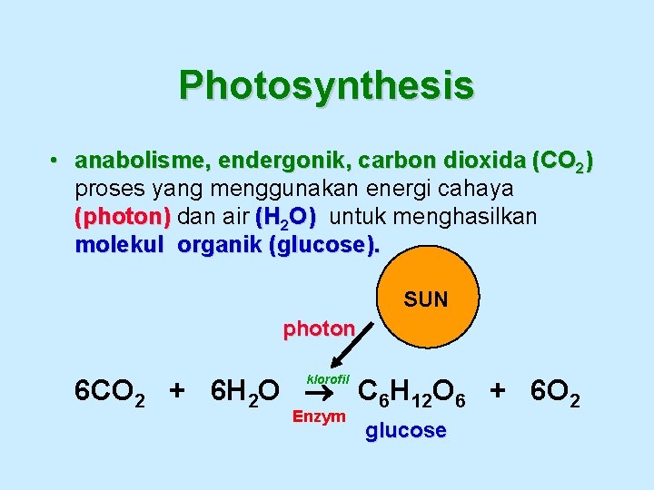 Photosynthesis • anabolisme, endergonik, carbon dioxida (CO 2) proses yang menggunakan energi cahaya (photon)