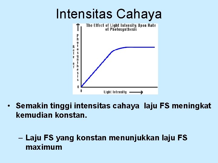 Intensitas Cahaya • Semakin tinggi intensitas cahaya laju FS meningkat kemudian konstan. – Laju