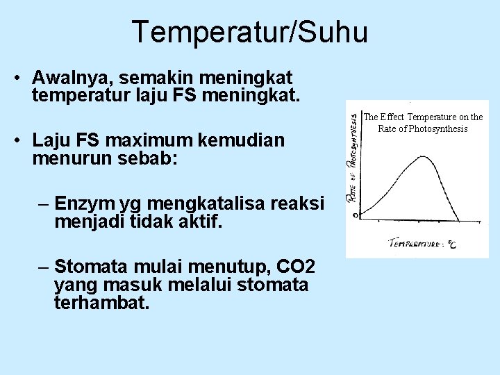 Temperatur/Suhu • Awalnya, semakin meningkat temperatur laju FS meningkat. • Laju FS maximum kemudian