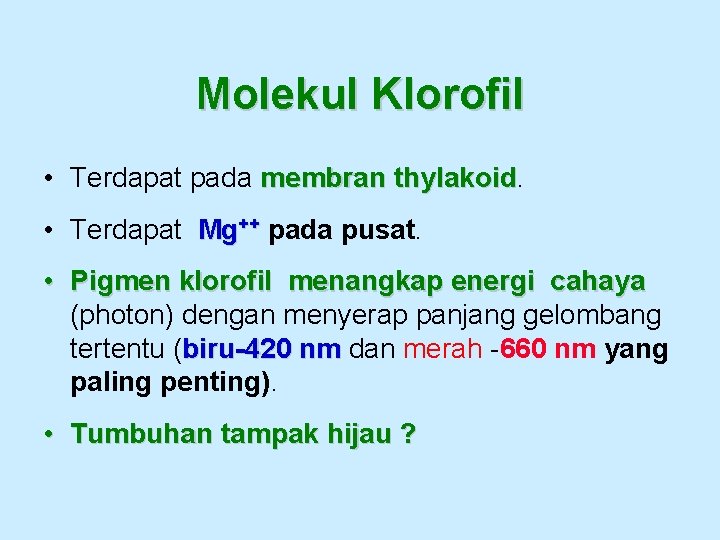 Molekul Klorofil • Terdapat pada membran thylakoid • Terdapat Mg++ pada pusat. • Pigmen
