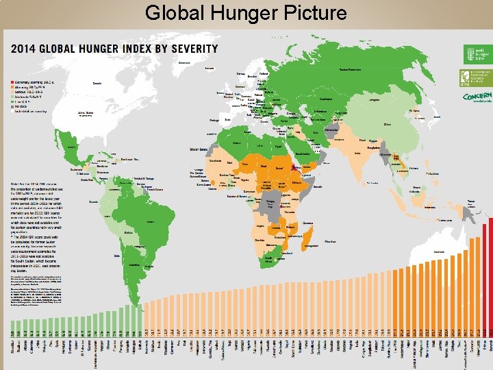 Global Hunger Picture 