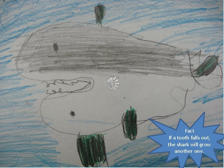 Fact If a tooth falls out, the shark will grow another one. 5 