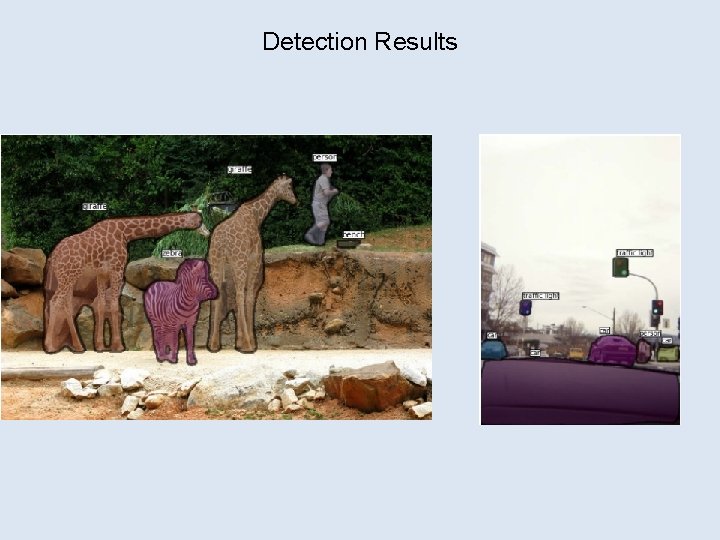 Detection Results 