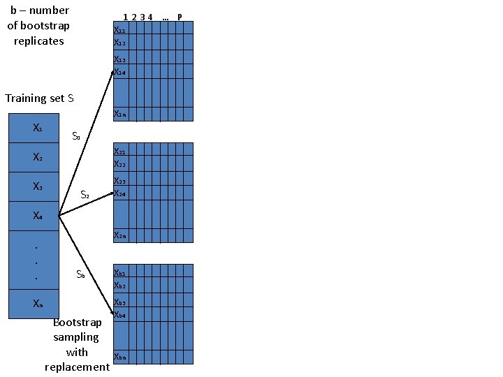 b – number of bootstrap replicates 1234 … P X 11 X 12 X