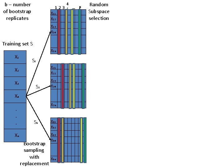 b – number of bootstrap replicates 4 123 1 … P X 11 X