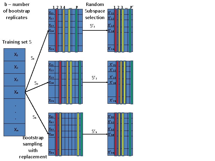 b – number of bootstrap replicates 1234 … P X 11 X 12 X