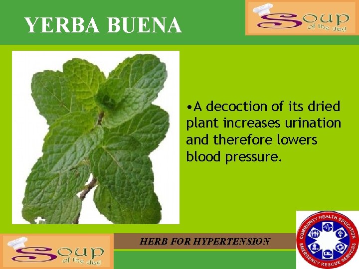 YERBA BUENA • A decoction of its dried plant increases urination and therefore lowers