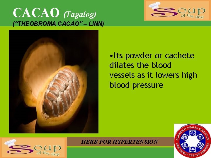 CACAO (Tagalog) (“THEOBROMA CACAO” – LINN) • Its powder or cachete dilates the blood