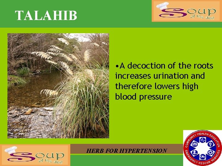 TALAHIB • A decoction of the roots increases urination and therefore lowers high blood