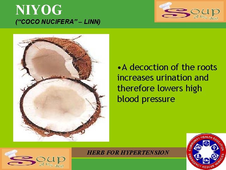 NIYOG (“COCO NUCIFERA” – LINN) • A decoction of the roots increases urination and