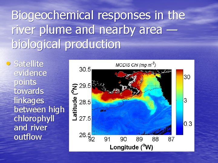 Biogeochemical responses in the river plume and nearby area — biological production • Satellite