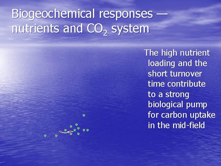 Biogeochemical responses — nutrients and CO 2 system The high nutrient loading and the