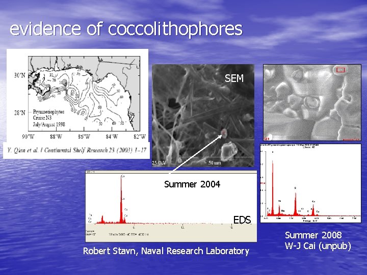 evidence of coccolithophores SEM Summer 2004 EDS Robert Stavn, Naval Research Laboratory Summer 2008