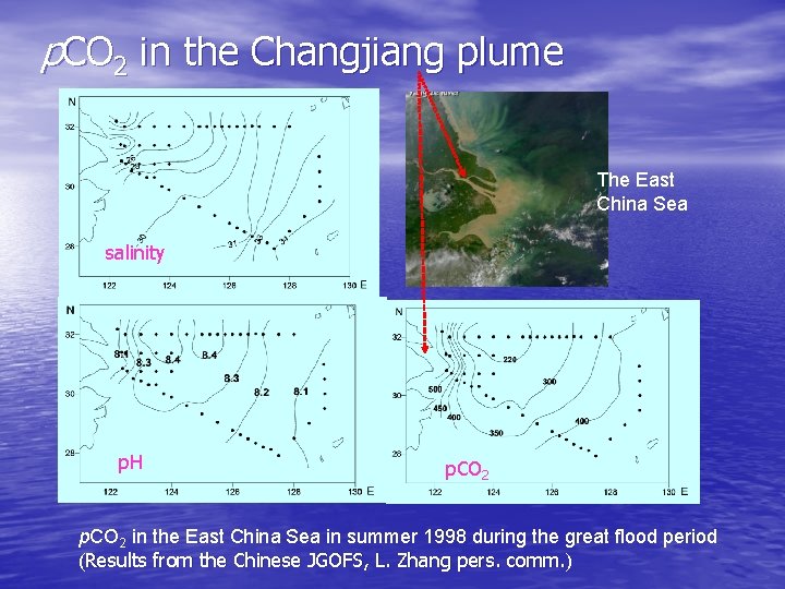 p. CO 2 in the Changjiang plume The East China Sea salinity p. H