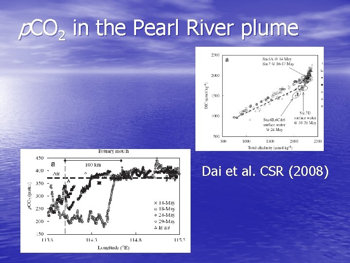 p. CO 2 in the Pearl River plume Dai et al. CSR (2008) 