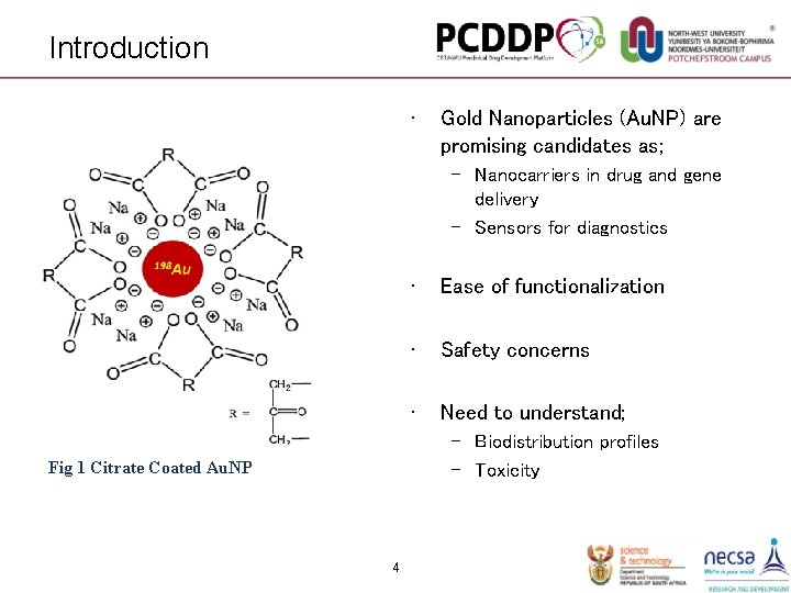 Introduction • Gold Nanoparticles (Au. NP) are promising candidates as; – Nanocarriers in drug