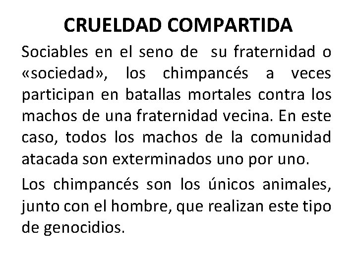 CRUELDAD COMPARTIDA Sociables en el seno de su fraternidad o «sociedad» , los chimpancés