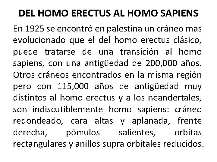DEL HOMO ERECTUS AL HOMO SAPIENS En 1925 se encontró en palestina un cráneo