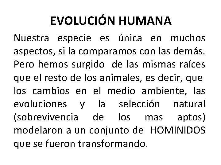 EVOLUCIÓN HUMANA Nuestra especie es única en muchos aspectos, si la comparamos con las