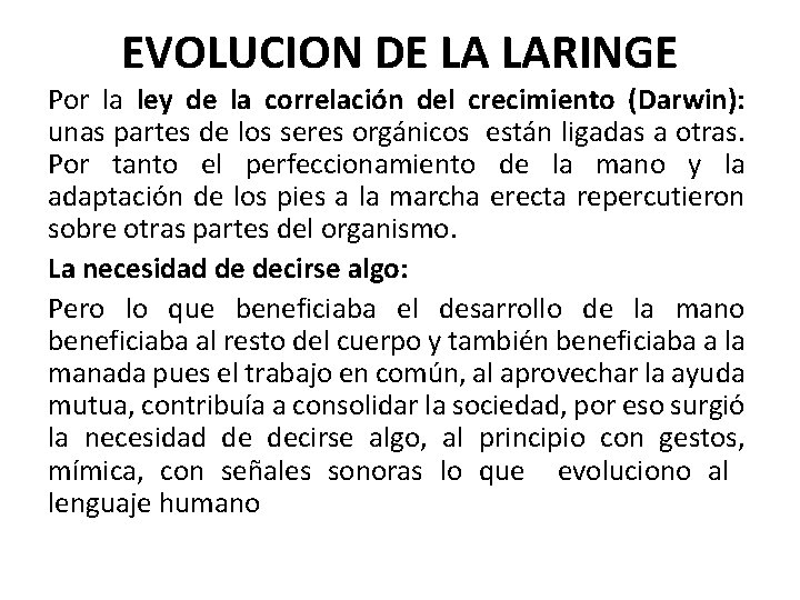 EVOLUCION DE LA LARINGE Por la ley de la correlación del crecimiento (Darwin): unas