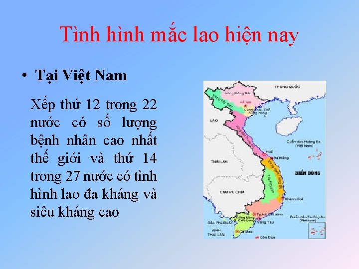 Tình hình mắc lao hiện nay • Tại Việt Nam Xếp thứ 12 trong