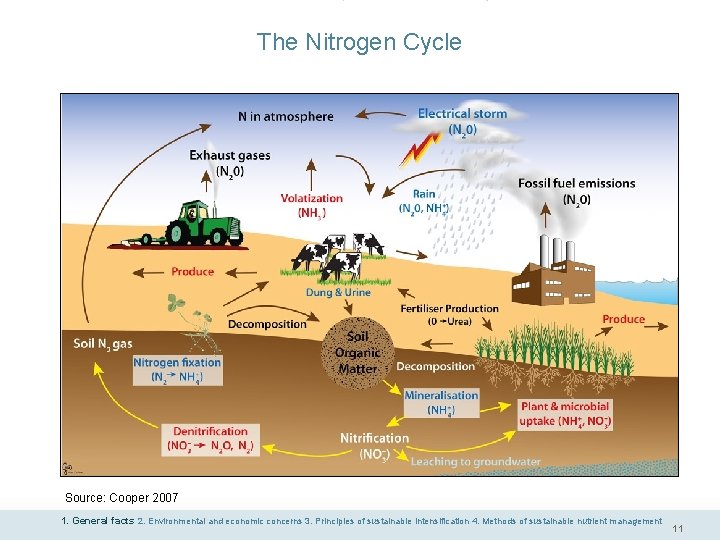 The Nitrogen Cycle Source: Cooper 2007 1. General facts 2. Environmental and economic concerns
