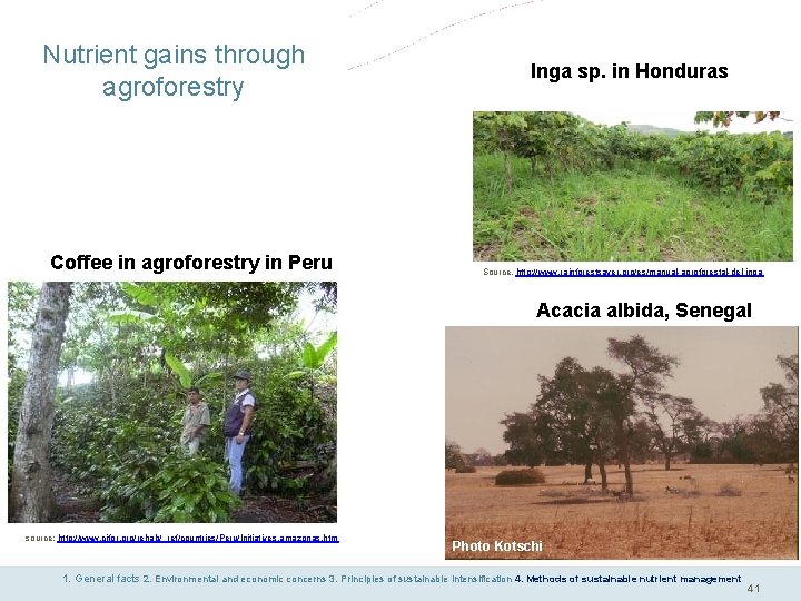 Nutrient gains through agroforestry Coffee in agroforestry in Peru Inga sp. in Honduras Source.