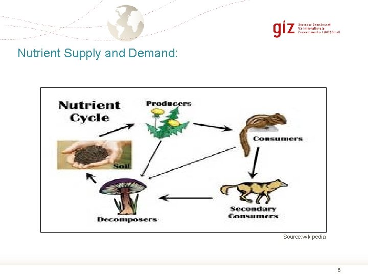 Nutrient Supply and Demand: Source: wikipedia 6 