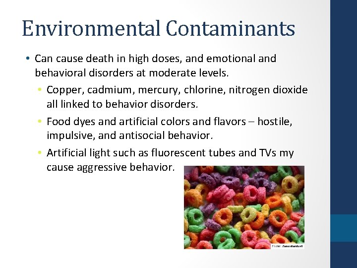 Environmental Contaminants • Can cause death in high doses, and emotional and behavioral disorders