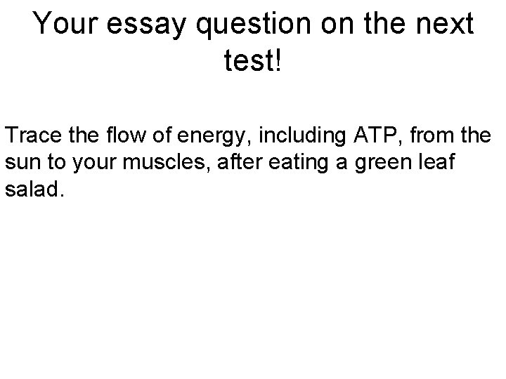 Your essay question on the next test! Trace the flow of energy, including ATP,