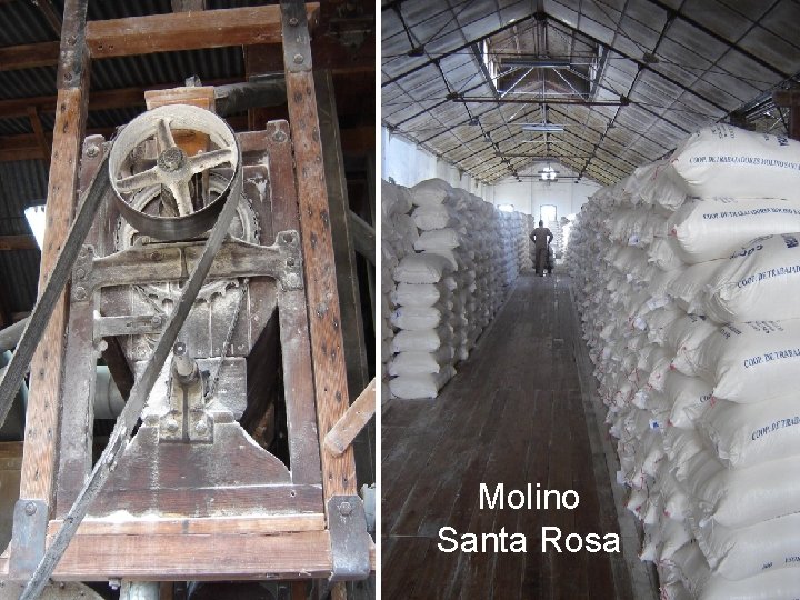 Molino Santa Rosa 