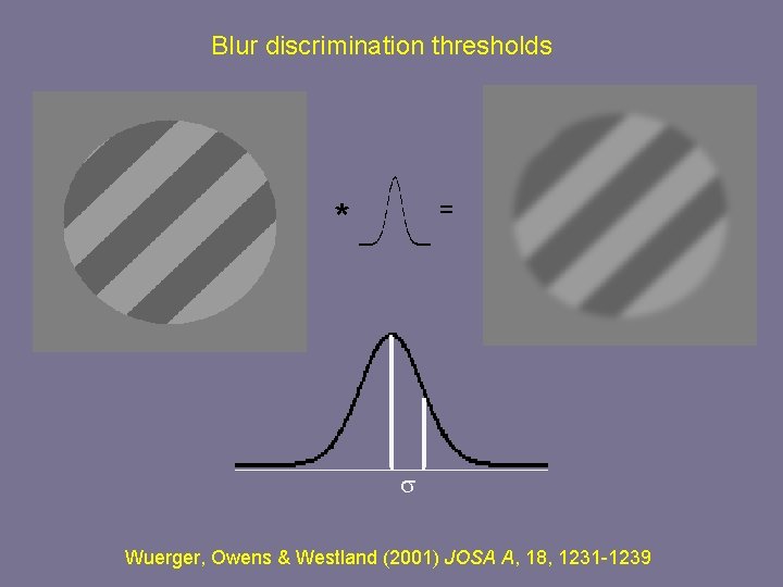 Blur discrimination thresholds = * s Wuerger, Owens & Westland (2001) JOSA A, 18,