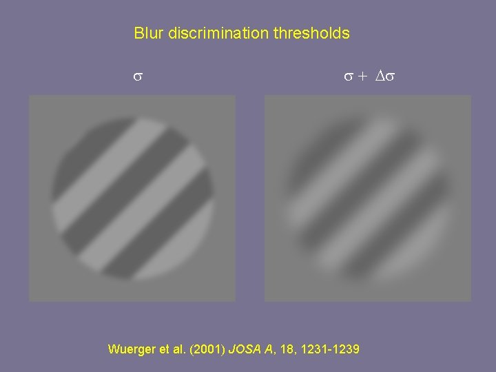 Blur discrimination thresholds s s + Ds Wuerger et al. (2001) JOSA A, 18,