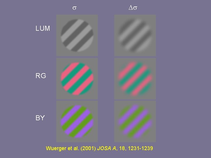 s Ds LUM RG BY Wuerger et al. (2001) JOSA A, 18, 1231 -1239