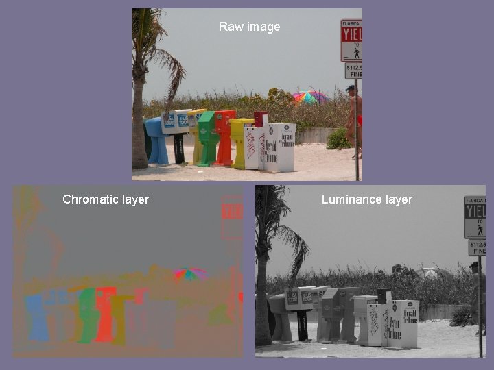 Raw image Chromatic layer Luminance layer 