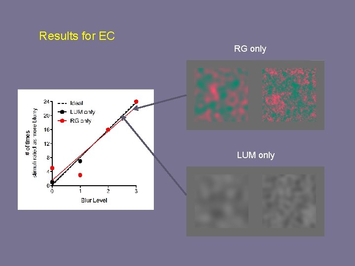 Results for EC RG only LUM only 