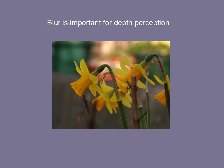 Blur is important for depth perception 