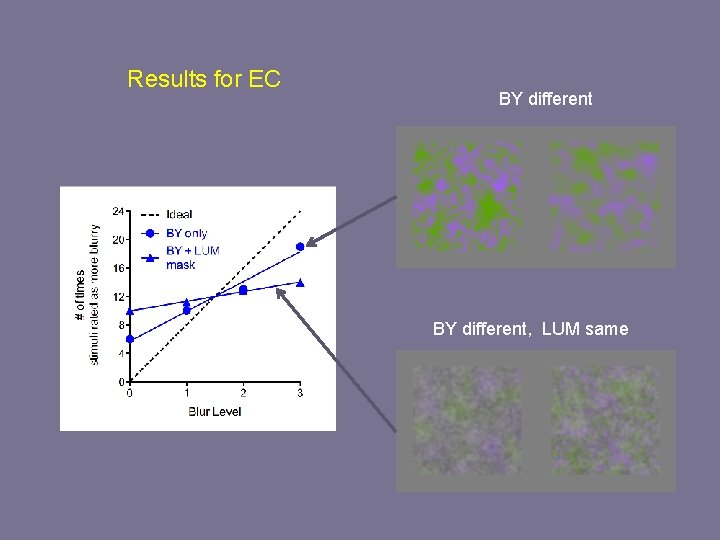 Results for EC BY different, LUM same 