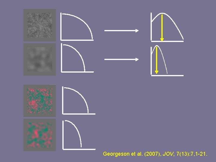 Georgeson et al. (2007), JOV, 7(13): 7, 1 -21. 