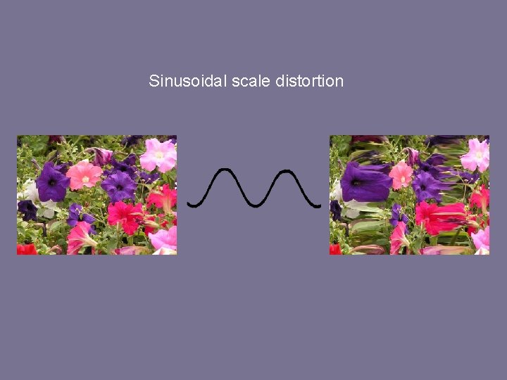 Sinusoidal scale distortion 