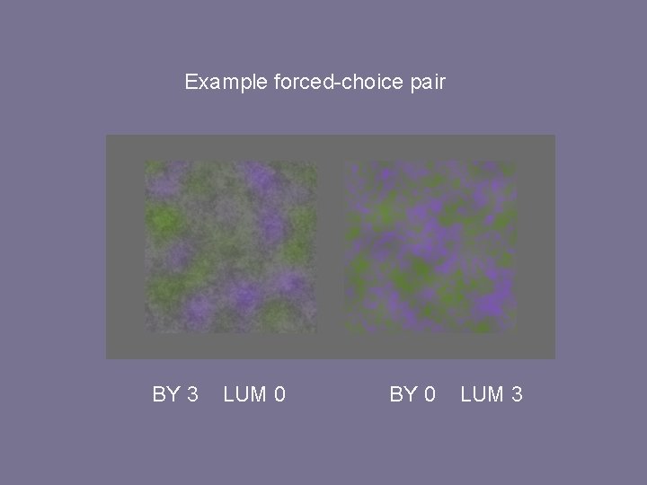 Example forced-choice pair BY 3 LUM 0 BY 0 LUM 3 