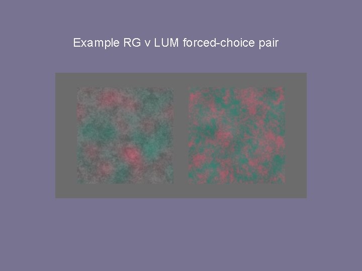 Example RG v LUM forced-choice pair 