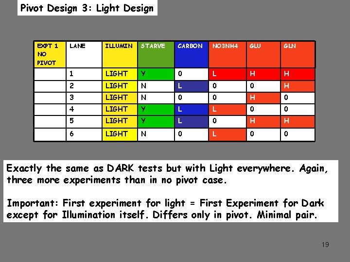 Pivot Design 3: Light Design EXPT 1 NO PIVOT LANE ILLUMIN STARVE CARBON NO