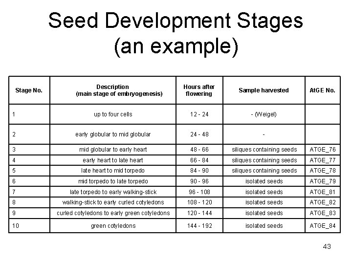 Seed Development Stages (an example) Stage No. Description (main stage of embryogenesis) Hours after